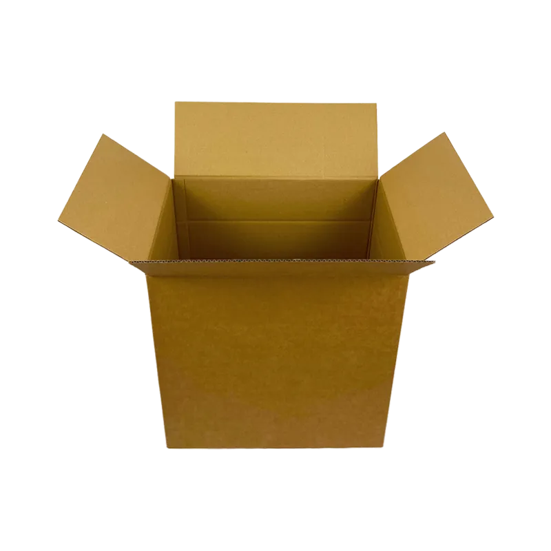 0_WP-Standardkarton_R2_geoeffnet_quer_24400300400