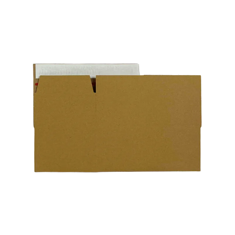 3_WP-Standardkarton_SK4_unaufgebaut_24250150100