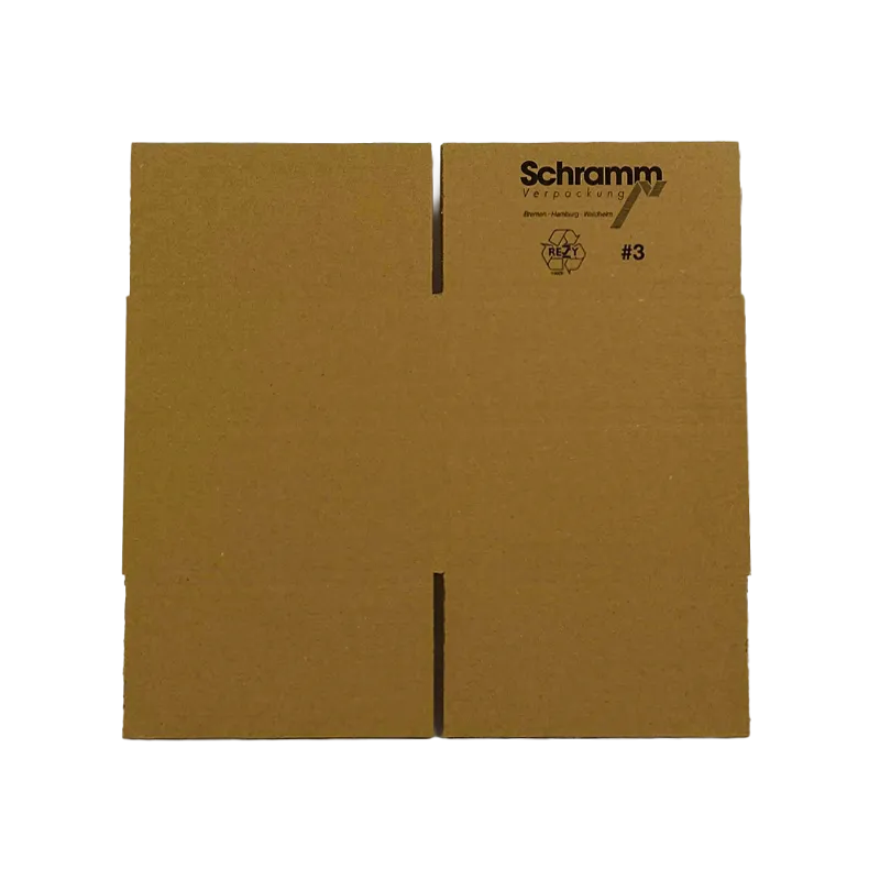 3_WP-Standardkarton_3_unaufgebaut_24200200175