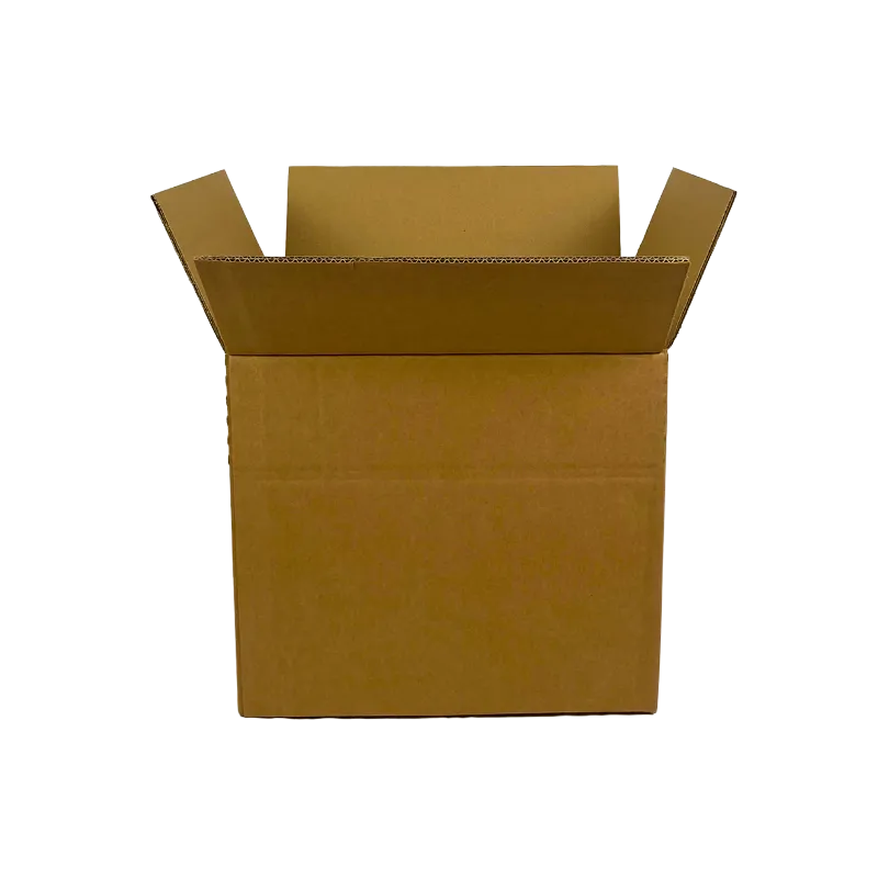 0_WP-Standardkarton_DD25_geoeffnet_quer_24415315360