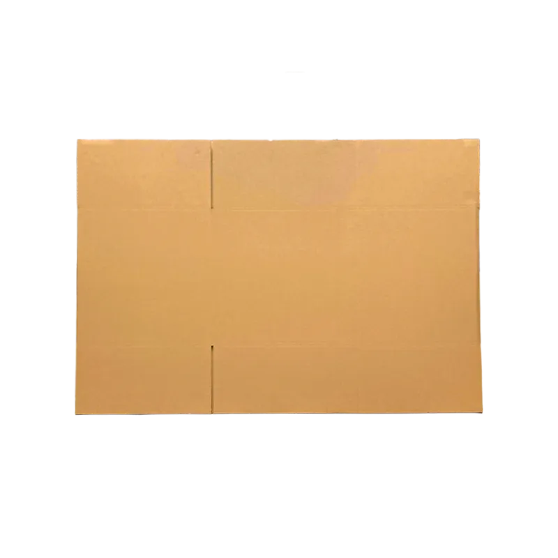 3_WP-Standardkarton_DD166_unaufgebaut_21186586578