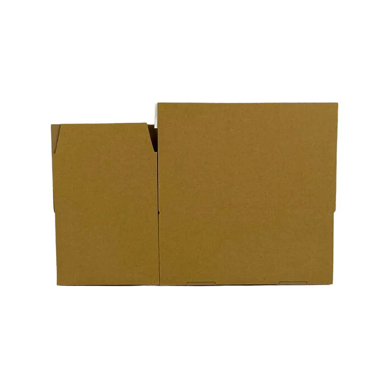 4_WP-Standardkarton_SK4_unaufgebaut_rueckseite_24250150100