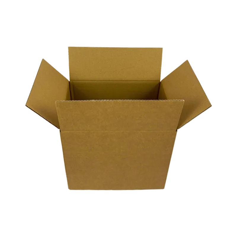 0_WP-Standardkarton_20_aufgestellt_offen_243602603000
