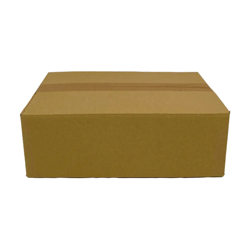 1_WP-Standardkarton_DD10A_geschlossen_quer_24350250110