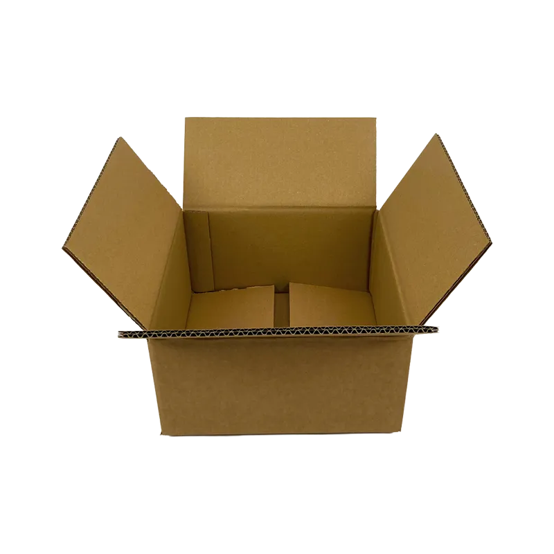 0_WP-Standardkarton_DD5_geoeffnet_24270250135