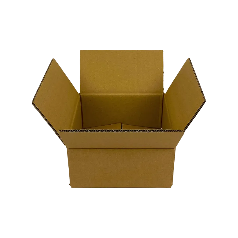 0_WP-Standardkarton_DD3_geoeffnet_quer_24220220100
