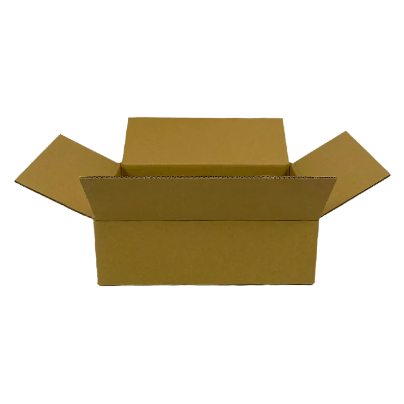 0_WP-Standardkarton_DD10A_geoeffnet_quer_24350250110