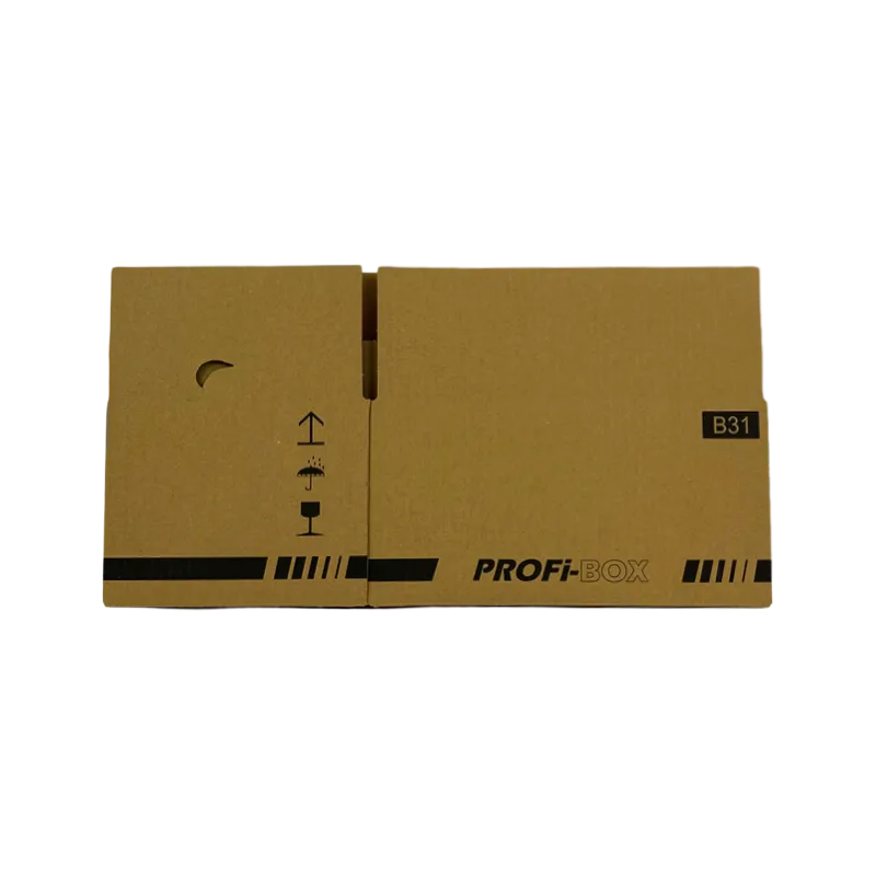 3_Profi-Box_B31_unaufgebaut_2484134137
