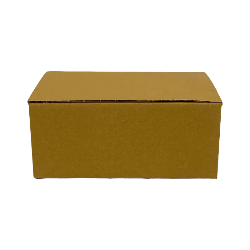 1_WP-Standardkarton_SK4_geschlossen_quer_24250150100