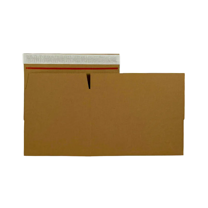3_WP-Standardkarton_SK8_unaufgebaut_rueckseite_24330230120