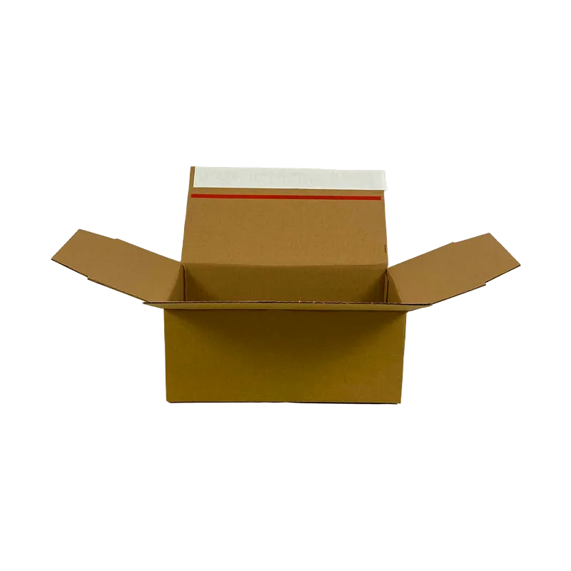 0_WP-Standardkarton_SK4_geoeffnet_quer_24250150100