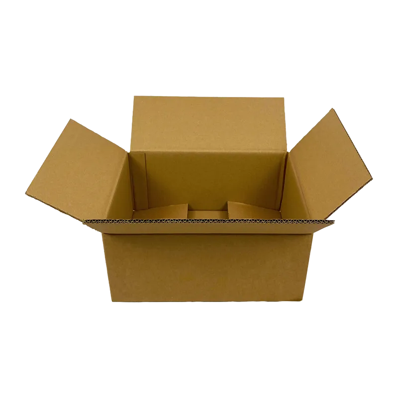 0_WP-Standardkarton_DD15_geoeffnet_quer_24380240170