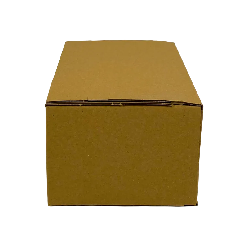 2_WP-Standardkarton_SK4_geschlossen_frontal_24250150100