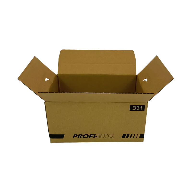 1_Profi-Box_B31_geoeffnet_quer_2484134137