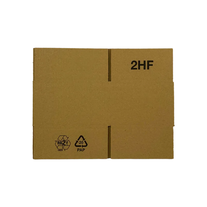 3_WP-Standardkarton_2hF_unaufgebaut_24190165110