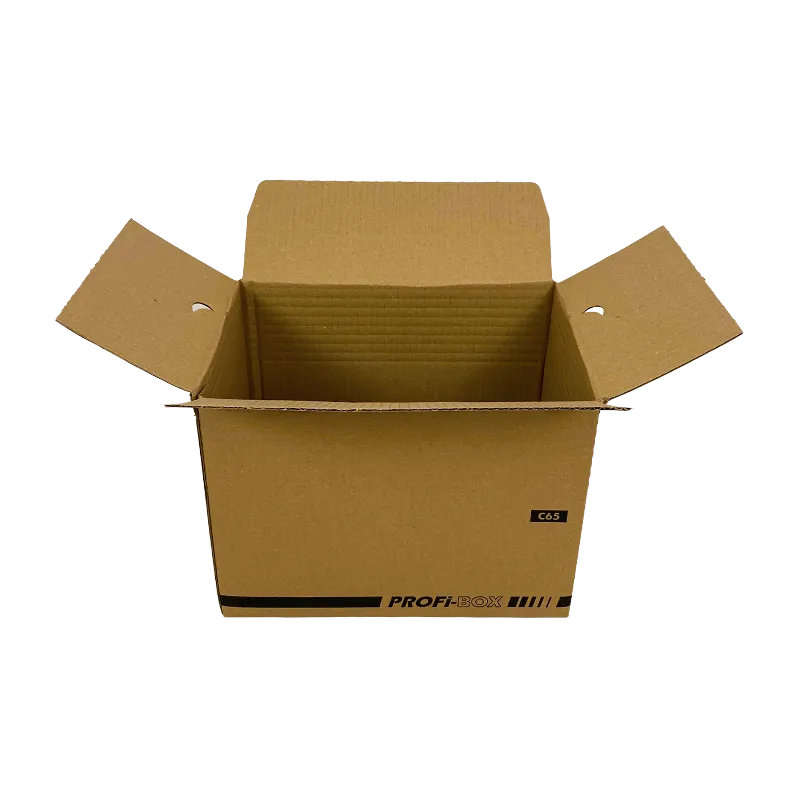 1_Profi-Box_C65_geoeffnet_quer_24305215221