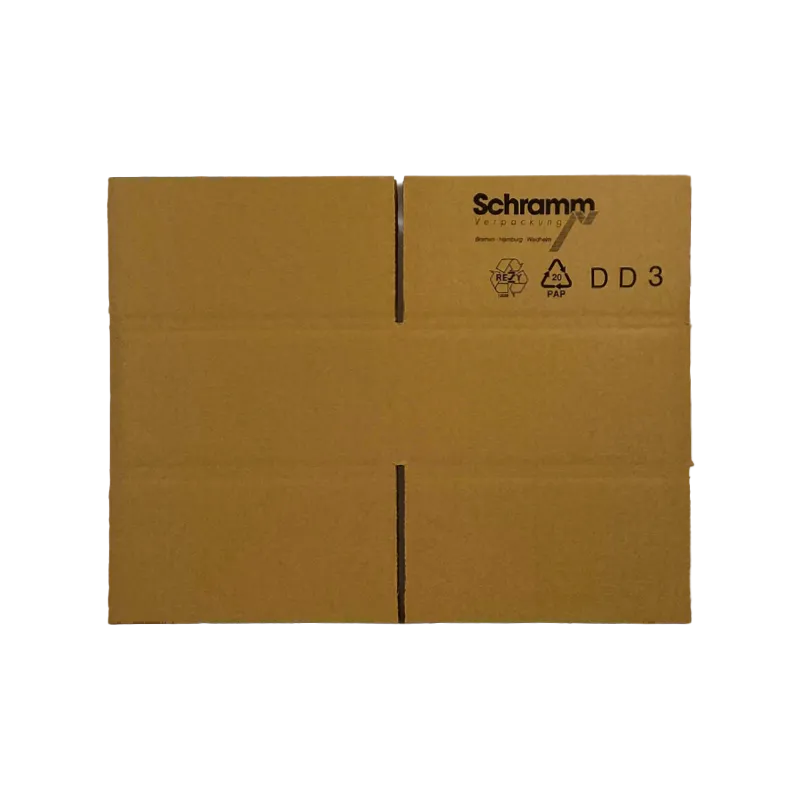 2_WP-Standardkarton_DD3_unaufgebaut_24220220100