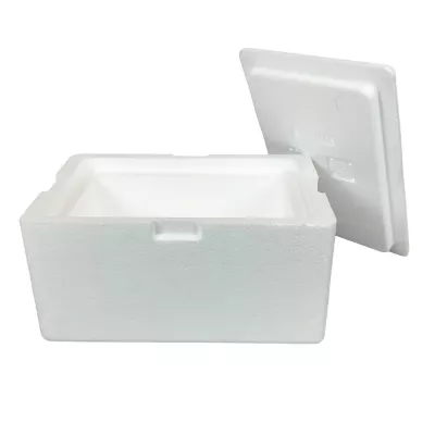 Styropor-Kühlboxen mit Deckel, 260 x 170 x 140 mm